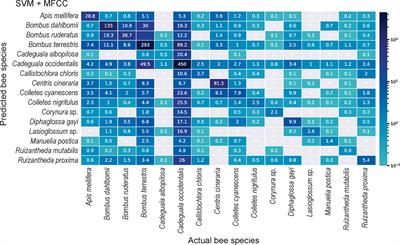 Automatic acoustic recognition of pollinating bee species can be highly improved by Deep Learning models accompanied by pre-training and strong data augmentation